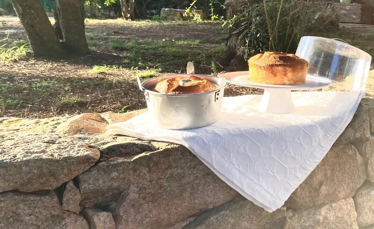 Villa Franci Santa Teresa di Gallura Bed & Breakfast